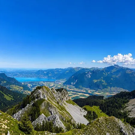 6 Pers - Vue Panoramique - Centre Et Pistes A Pied 公寓 沙泰勒